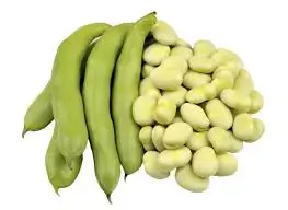 Fava beans,