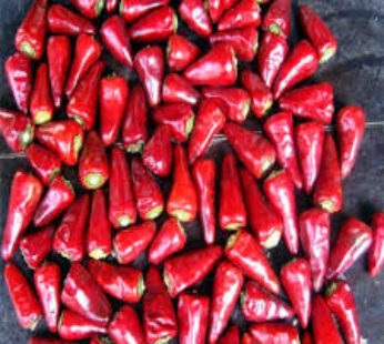 Chilli Whole Long 3.5-Oz x 20