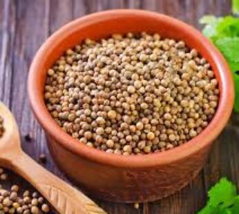 Coriander Seeds 14-Oz x 20