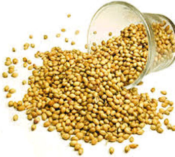 Coriander Seeds 7-Oz x 20