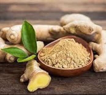 Ginger Powder 7-Oz x 20
