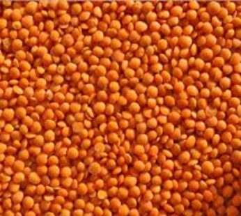 Masoor Gota 2-Lb x 20