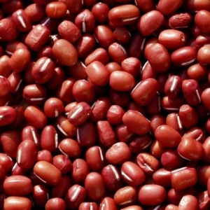 Red Chori 2-Lbs x 20