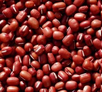 Red Chori 2-Lbs x 20