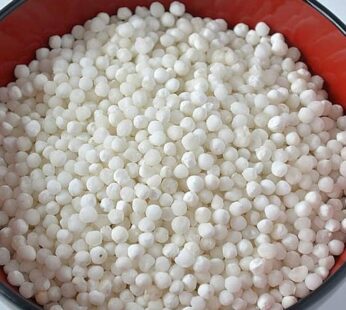 Sabudana 14-Oz x 20