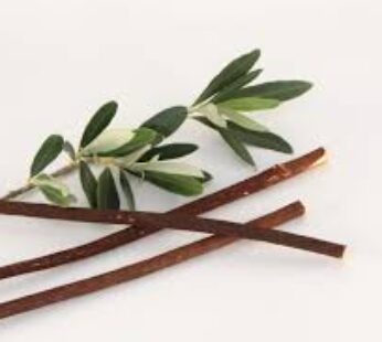 Miswak ” Olive Branches “